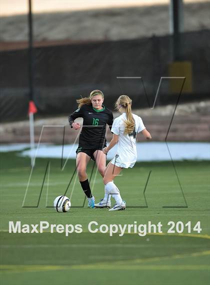 Thumbnail 3 in Fossil Ridge @ Highlands Ranch photogallery.