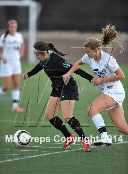 Thumbnail 2 in Fossil Ridge @ Highlands Ranch photogallery.