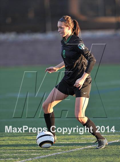 Thumbnail 2 in Fossil Ridge @ Highlands Ranch photogallery.
