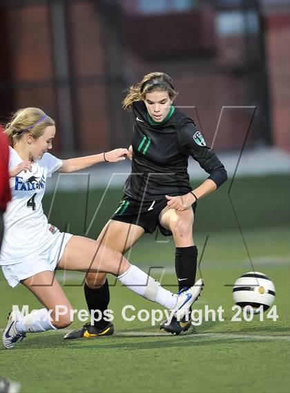 Thumbnail 1 in Fossil Ridge @ Highlands Ranch photogallery.