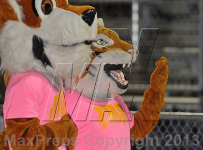 Thumbnail 3 in Pioneer @ Inderkum photogallery.