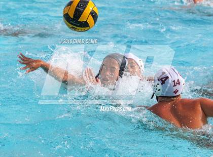 Thumbnail 3 in Esperanza @ Villa Park photogallery.