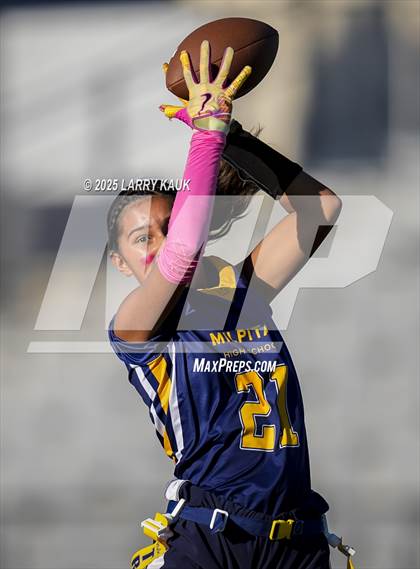 Thumbnail 1 in Los Altos @ Milpitas photogallery.