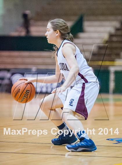 Thumbnail 2 in Haldane vs. Chautauqua Lake (NYSPHSAA Class C Semifinal) photogallery.