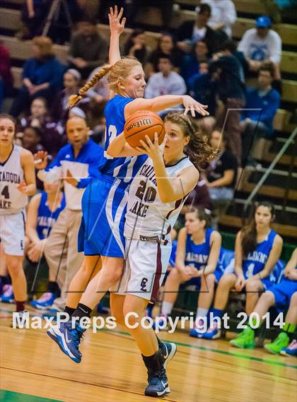 Thumbnail 3 in Haldane vs. Chautauqua Lake (NYSPHSAA Class C Semifinal) photogallery.