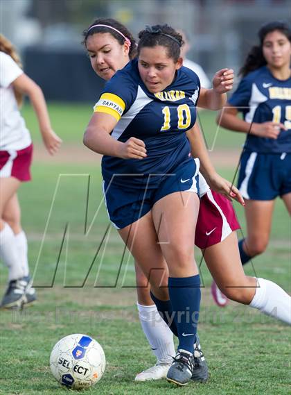 Thumbnail 1 in Millikan @ Woodrow Wilson photogallery.