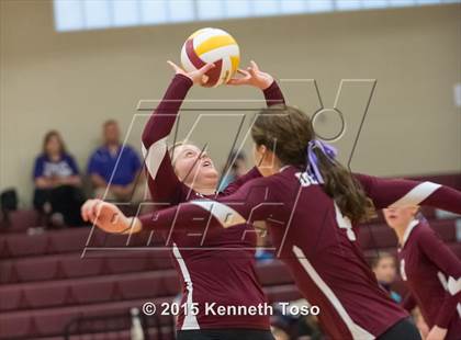 Thumbnail 1 in Poteet vs Devine (Arabian Roundup) photogallery.