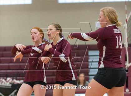Thumbnail 1 in Poteet vs Devine (Arabian Roundup) photogallery.