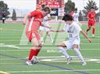 Photo from the gallery "Palo Verde @ Coronado (NIAA 5A Southern League Final)"