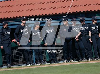 Thumbnail 2 in Chaminade @  Harvard-Westlake photogallery.