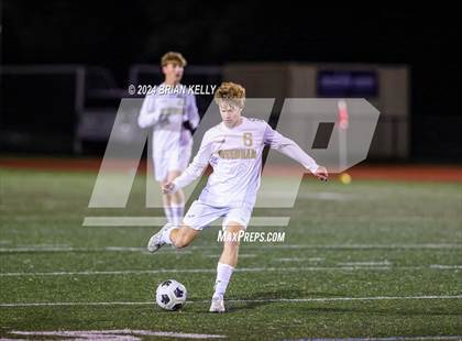 Thumbnail 1 in Needham @ Weymouth  photogallery.