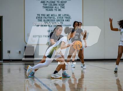 Thumbnail 1 in Mariner @ Island Coast photogallery.