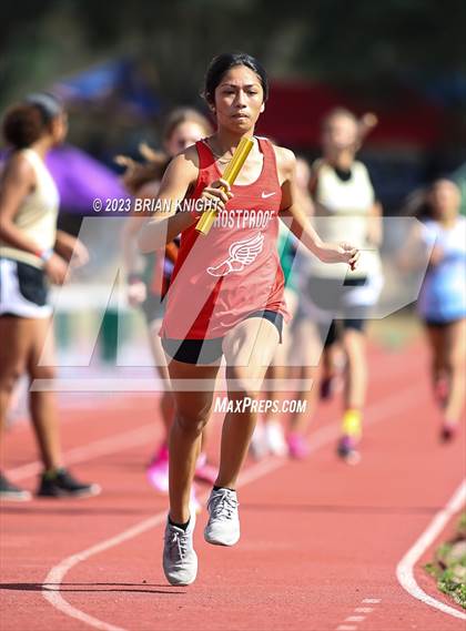 Thumbnail 1 in Polk County Championships photogallery.