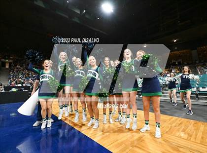 Thumbnail 2 in ThunderRidge vs. Fossil Ridge (CHSAA 5A State Final) photogallery.