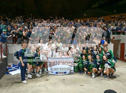 Thumbnail 1 in ThunderRidge vs. Fossil Ridge (CHSAA 5A State Final) photogallery.