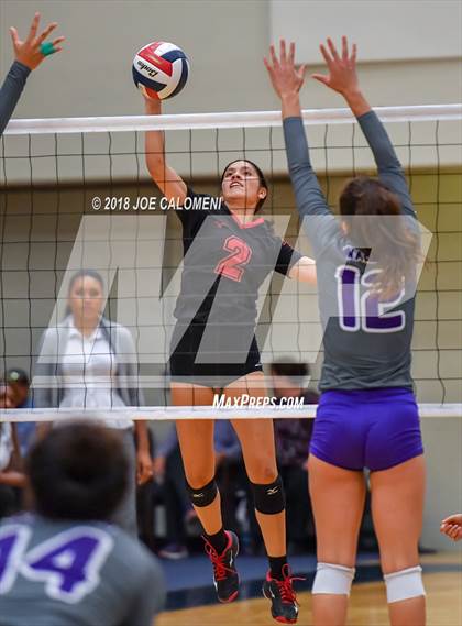 Thumbnail 3 in Warren vs Stevens [John Paul] photogallery.