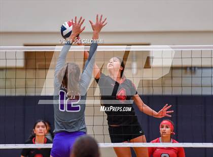 Thumbnail 1 in Warren vs Stevens [John Paul] photogallery.