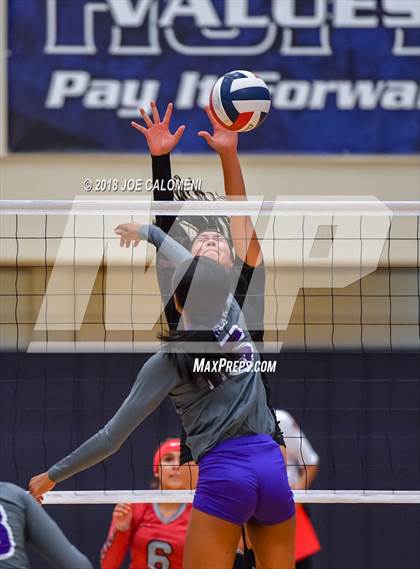Thumbnail 3 in Warren vs Stevens [John Paul] photogallery.