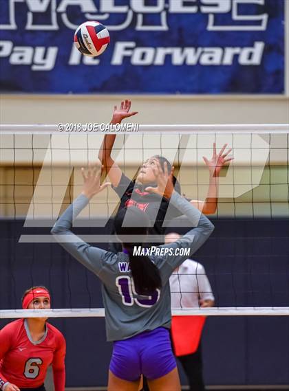Thumbnail 1 in Warren vs Stevens [John Paul] photogallery.