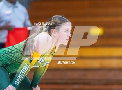 Thumbnail 2 in Jack Britt @ Pine Forest photogallery.