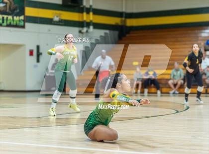 Thumbnail 1 in Jack Britt @ Pine Forest photogallery.