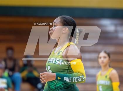 Thumbnail 1 in Jack Britt @ Pine Forest photogallery.