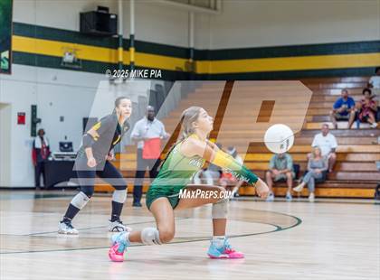 Thumbnail 3 in Jack Britt @ Pine Forest photogallery.
