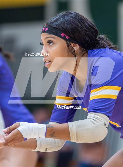 Thumbnail 3 in Jack Britt @ Pine Forest photogallery.