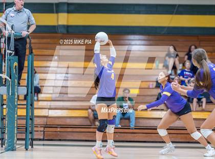 Thumbnail 3 in Jack Britt @ Pine Forest photogallery.