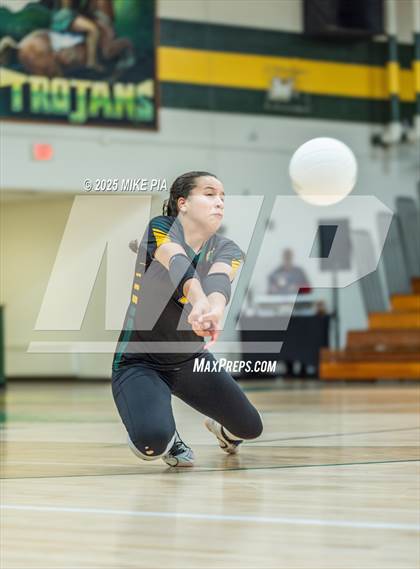 Thumbnail 3 in Jack Britt @ Pine Forest photogallery.