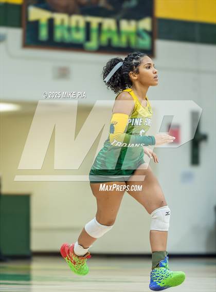 Thumbnail 2 in Jack Britt @ Pine Forest photogallery.