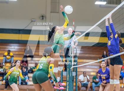Thumbnail 2 in Jack Britt @ Pine Forest photogallery.