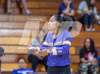 Thumbnail 1 in Jack Britt @ Pine Forest photogallery.
