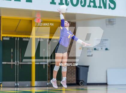 Thumbnail 3 in Jack Britt @ Pine Forest photogallery.
