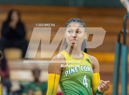 Thumbnail 3 in Jack Britt @ Pine Forest photogallery.