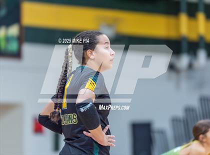 Thumbnail 2 in Jack Britt @ Pine Forest photogallery.