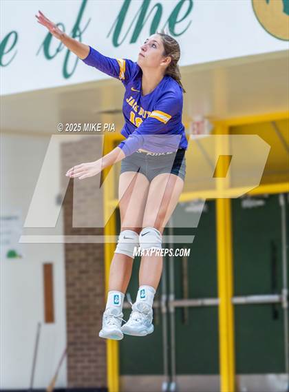 Thumbnail 3 in Jack Britt @ Pine Forest photogallery.