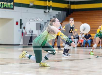 Thumbnail 2 in Jack Britt @ Pine Forest photogallery.