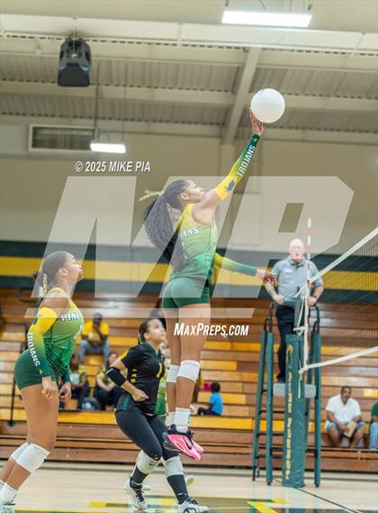 Thumbnail 3 in Jack Britt @ Pine Forest photogallery.