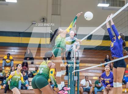 Thumbnail 3 in Jack Britt @ Pine Forest photogallery.