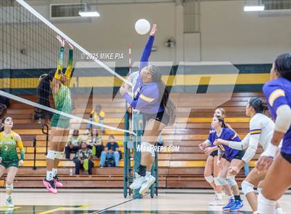 Thumbnail 3 in Jack Britt @ Pine Forest photogallery.