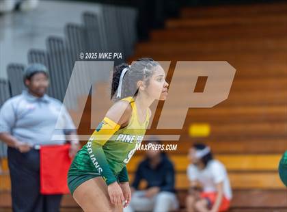 Thumbnail 3 in Jack Britt @ Pine Forest photogallery.