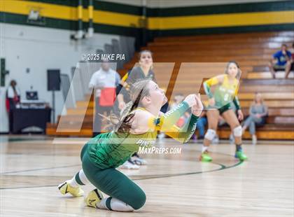 Thumbnail 1 in Jack Britt @ Pine Forest photogallery.