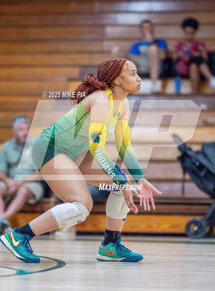 Thumbnail 3 in Jack Britt @ Pine Forest photogallery.