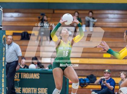 Thumbnail 3 in Jack Britt @ Pine Forest photogallery.