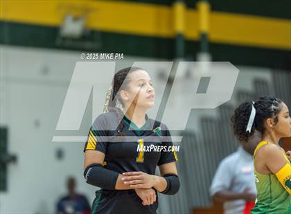 Thumbnail 2 in Jack Britt @ Pine Forest photogallery.