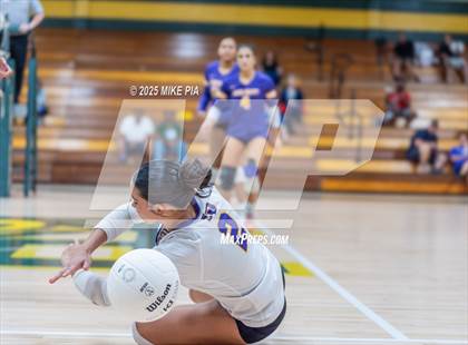 Thumbnail 3 in Jack Britt @ Pine Forest photogallery.
