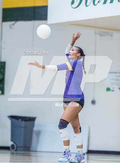 Thumbnail 1 in Jack Britt @ Pine Forest photogallery.