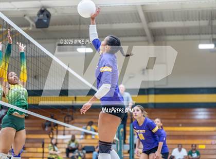 Thumbnail 3 in Jack Britt @ Pine Forest photogallery.