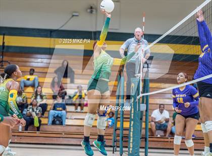 Thumbnail 1 in Jack Britt @ Pine Forest photogallery.